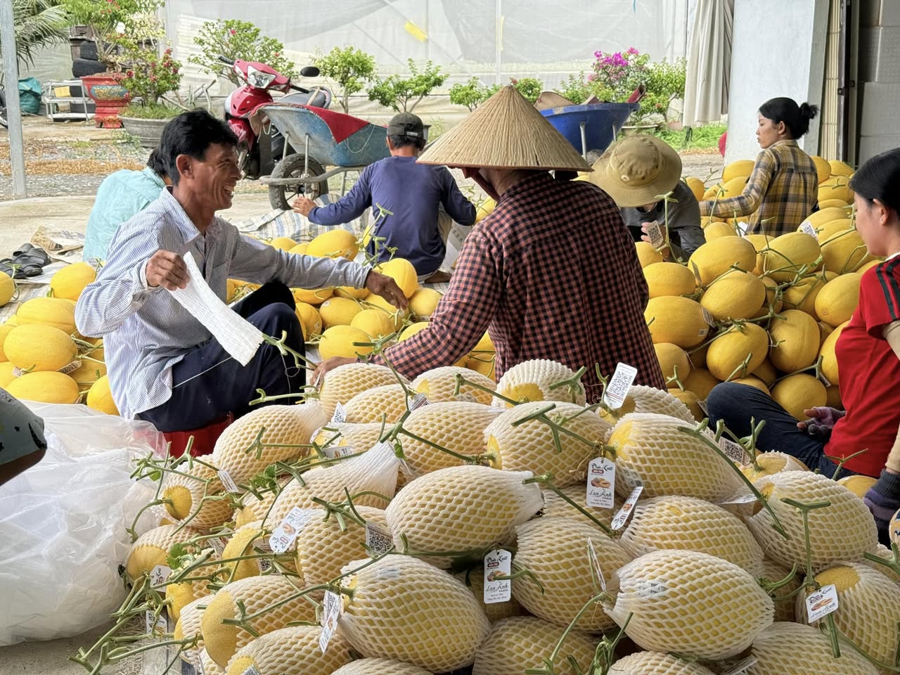 Nông dân Lan Anh Farm